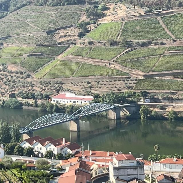 Douro Tour: Wine Tastings, Boat Ride & Manor House Lunch - Who Will Love This Experience?
