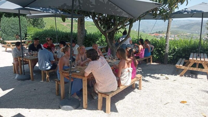 Douro Tour with Wine Tasting and Visit to Lamego and Pinhão - Who This Tour Is Best For
