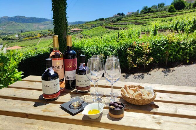 Douro Tour with Wine Tasting, River Cruise and Visit to Lamego - The Experience: What’s Great and What’s Not