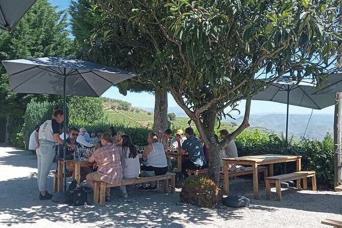 Douro Tour with Wine Tasting, River Cruise and Visit to Lamego - Who Is This Tour For?