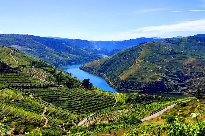 DOURO TOURS - in Pinhão 1 day all inclusive 99, Douro Valley - An In-Depth Look at the Douro Valley Tour