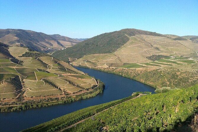 DOURO TOURS - in Pinhão 1 day all inclusive 99, Douro Valley - Who Would Love This Tour?
