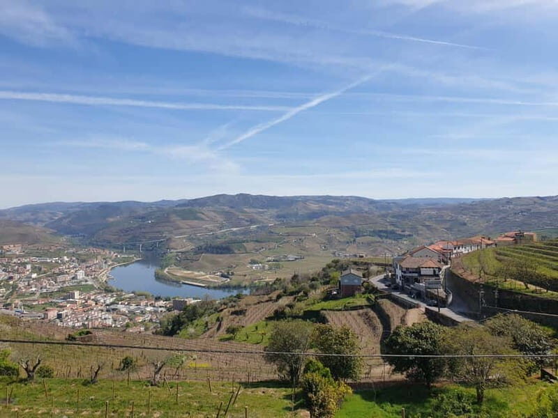 Douro: Traditional Harvest Lunch at Quinta de Sobre a Fonte - Key Points