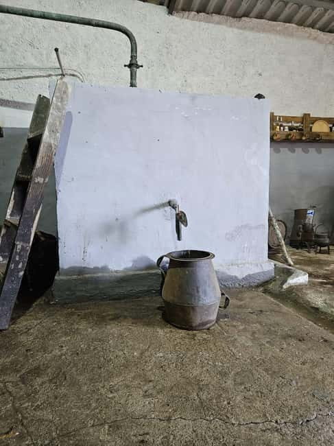 Douro: Traditional Harvest Lunch at Quinta de Sobre a Fonte - A Thoughtful Look at the Douro Harvest Lunch Experience