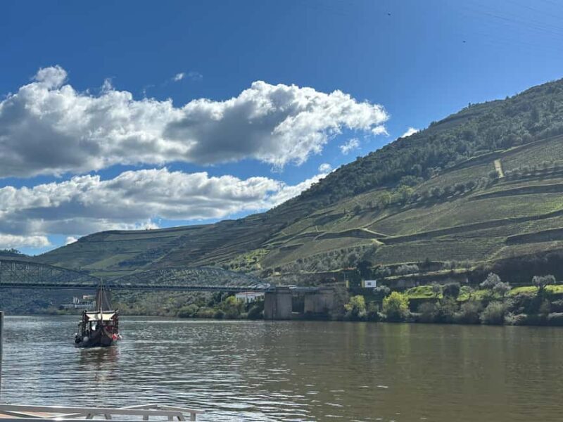 Douro Valley: 2 Vineyard Visits with Lunch and River Cruise - Who Will Love This Tour?