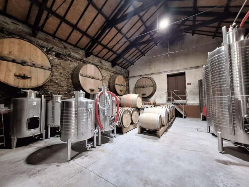 Douro Valley: 2 Wineries, Lunch & Boat - Key Points