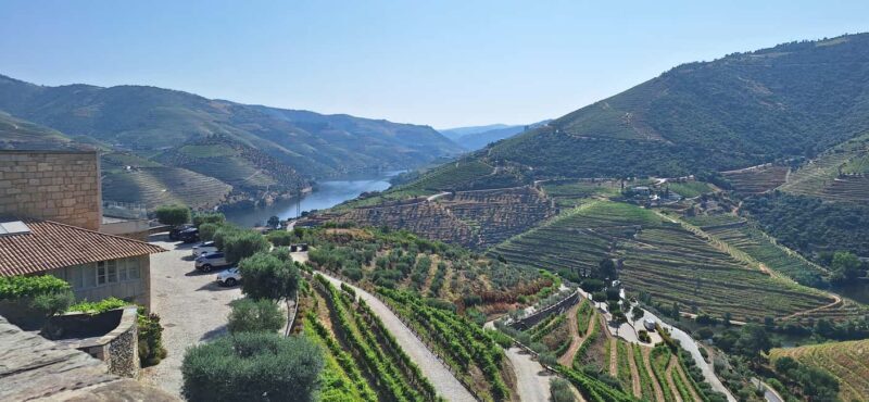 Douro Valley: 2 Wineries, Lunch & Boat - Who Will Love This Tour?