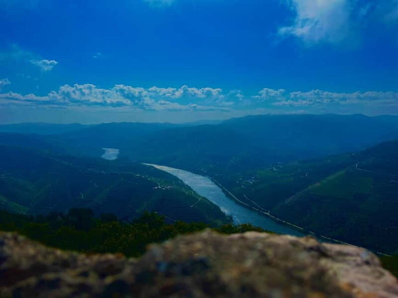 Douro Valley: A Day in Douro Valley Tasting The Best Wines - Key Points