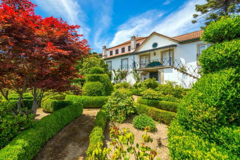 Douro Valley: A Sensory Experience in the Douro: Wines, Olive Oil, and History - Key Points