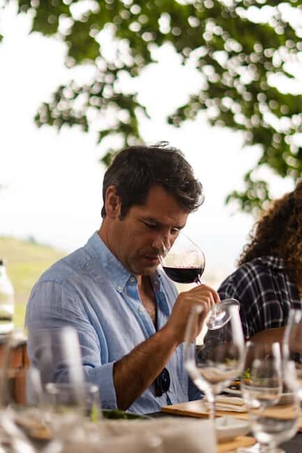 Douro Valley: A Sensory Experience in the Douro: Wines, Olive Oil, and History - Final Thoughts