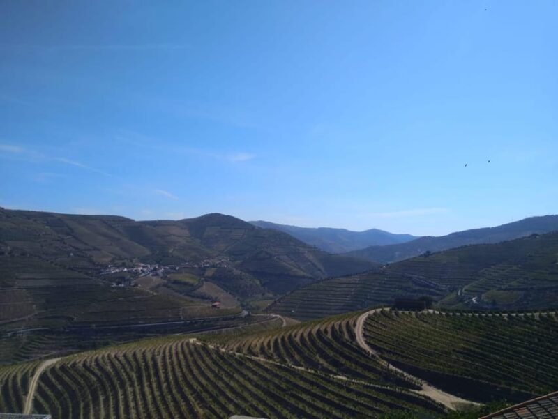 Douro Valley & Amarante - from Porto, Braga or Guimarães - Exploring the Douro Valley & Amarante: What to Expect