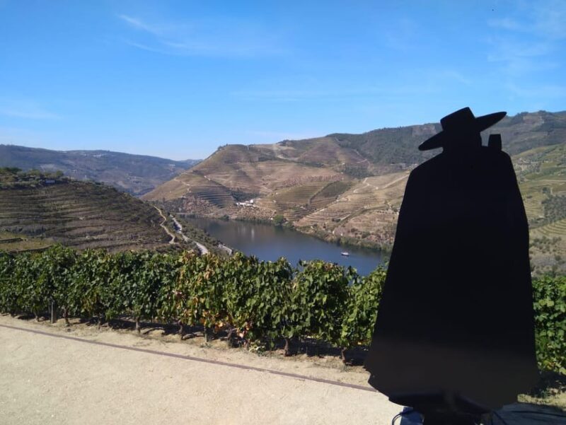 Douro Valley & Amarante - from Porto, Braga or Guimarães - Is This Tour Worth It?