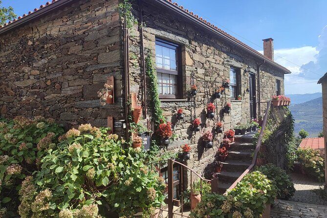 Douro Valley amazing wine Tours - Who Will Love This Tour?