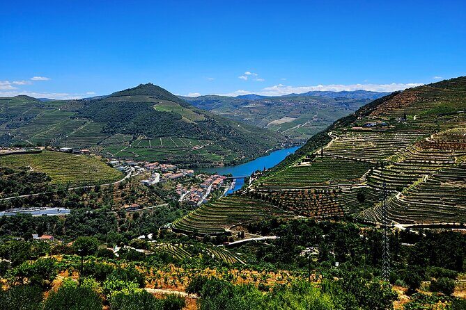 Douro Valley and Green Wine with Tastings, Chef Lunch and Boat - Exploring Douro’s Winemaking Secrets