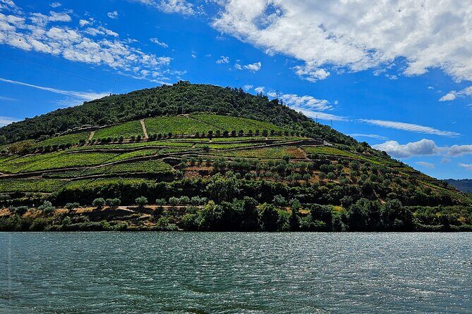 Douro Valley and Green Wine with Tastings, Chef Lunch and Boat - A Relaxing River Cruise in Pinhão