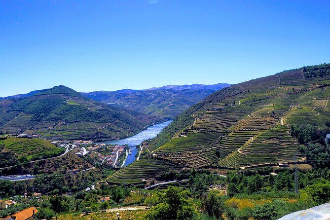 Douro Valley and Régua Panoramic Cruise with Lunch from Porto - Who Might Want to Skip It?