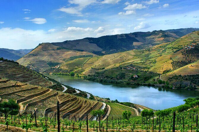 Douro Valley and Régua Panoramic Cruise with Lunch from Porto - Final Thoughts