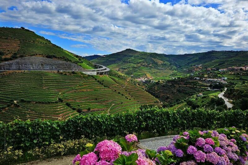 Douro Valley and Vinho Verde: 2 Wineries, Lunch, and a Rabelo Boat Ride - Key Points
