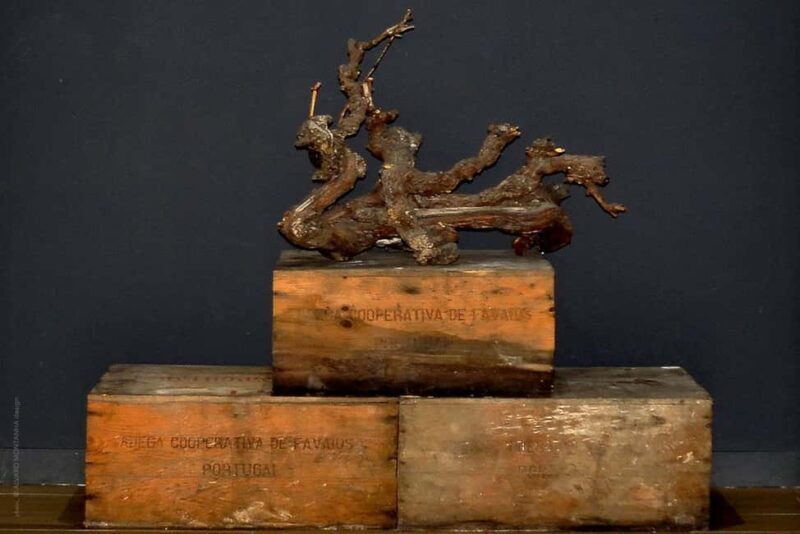 Douro Valley and Vinho Verde: 2 Wineries, Lunch, and a Rabelo Boat Ride - Who Will Love This Tour?