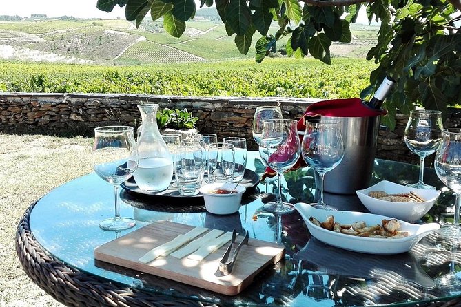 Douro Valley Best-Of Private Tour – Fully Customizable Experience - Key Points to Know Before You Go