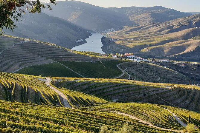 Douro Valley Best-Of Private Tour – Fully Customizable Experience - The N222 Scenic Route: Why This Road Is a Big Deal