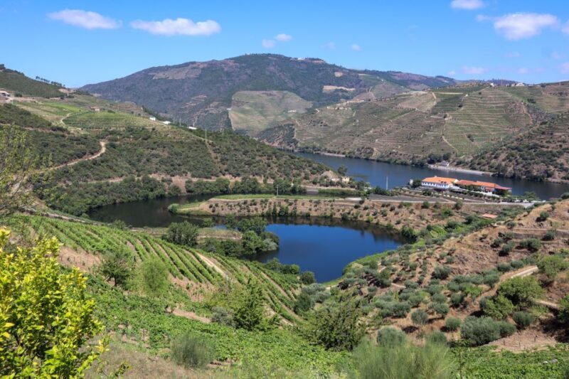Douro Valley: Douro Valley Tour Including 3 Wineries - Key Points