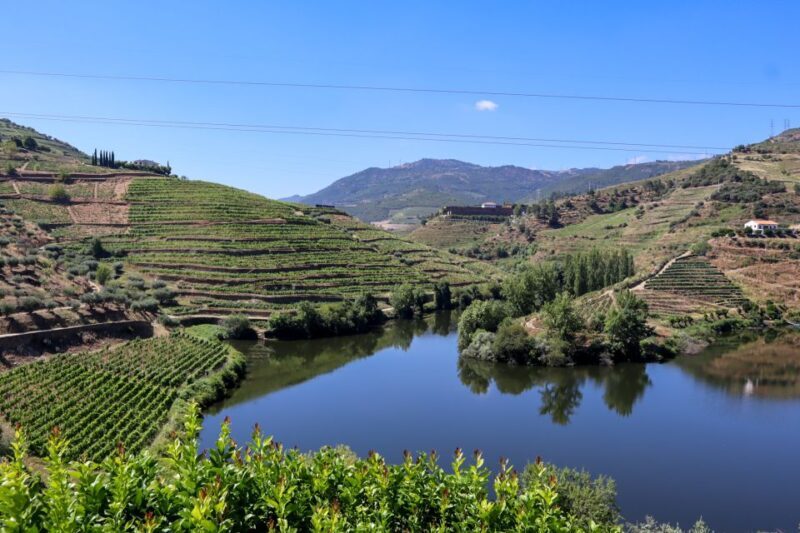 Douro Valley: Douro Valley Tour Including 3 Wineries - Who Is This Tour Best For?