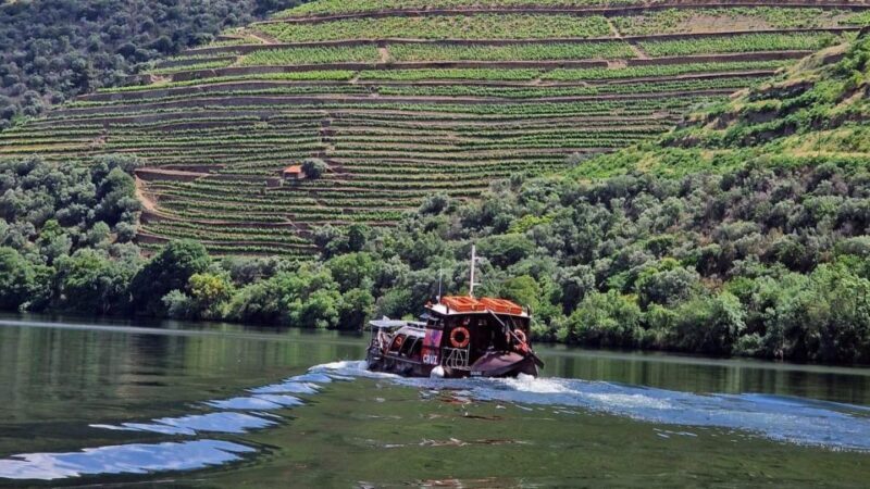Douro Valley-Expert Guide-Boat-Lunch-Tastings PremiumService - Exploring the Douro Valley: A Detailed Look at the Premium Guided Tour