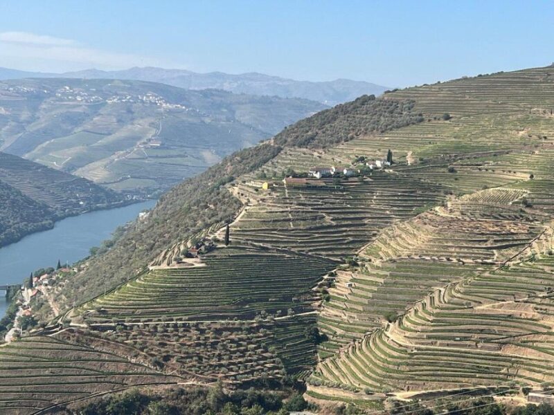 Douro Valley-Expert Guide-Boat-Lunch-Tastings PremiumService - Final Thoughts