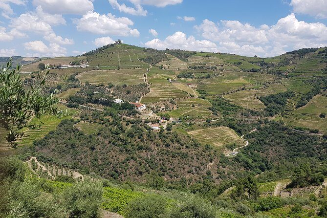 Douro Valley for Wine Lovers with Visit to 3 Vineyards and Lunch at a Winery - Final Thoughts: Is This Tour Right for You?