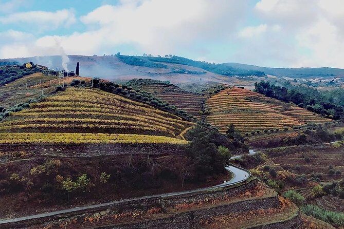 Douro Valley from Porto with Wineries, Lunch and Boat Trip - Key Points