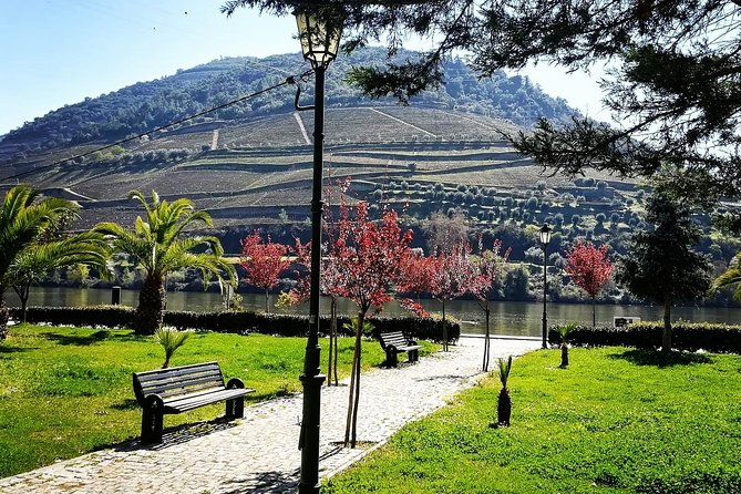 Douro Valley with Two Winery, Boat Trip and Lunch From Porto - The Value Conversation: Is It Worth It?