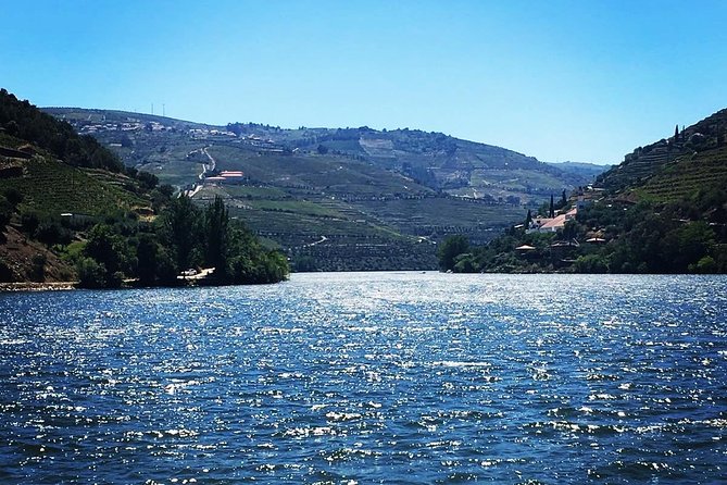 Douro Valley with Two Winery, Boat Trip and Lunch From Porto - Who Should Book This Tour