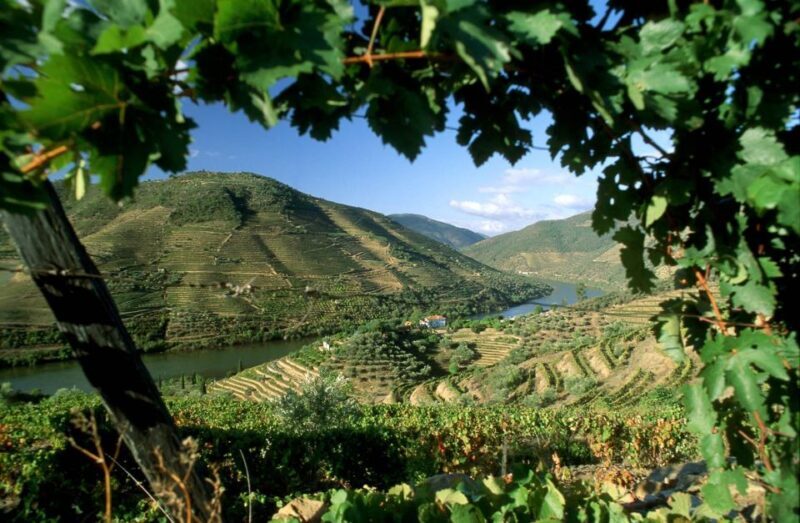 Douro Valley: Full-Day Private Tour from Porto - Explore the Scenic Douro Valley in Comfort