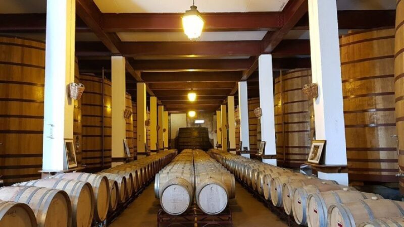 Douro Valley: Full-Day Private Tour from Porto - How the Experience Feels on the Day