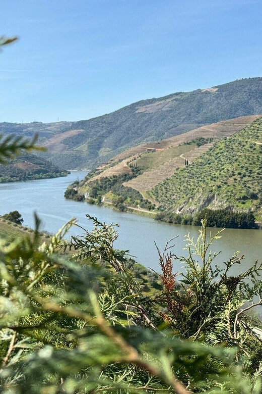 Douro Valley Full Day Tour From Lisbon - The Itinerary Breakdown: What to Expect