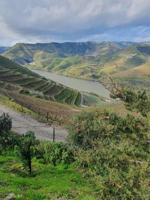 Douro Valley Full Day Tour From Lisbon - Practical Considerations