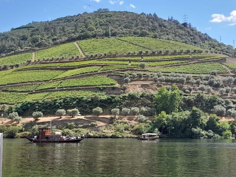 Douro Valley Full Day Tour From Lisbon - Concluding Thoughts
