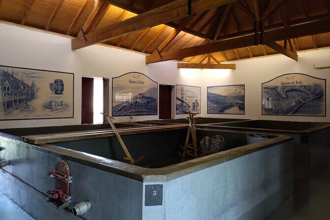 Douro Valley full experience with limited small group - A Deep Dive into the Douro Valley Full Experience