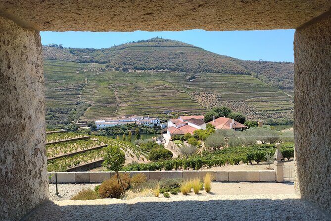 Douro Valley full experience with limited small group - Who Should Consider This Tour?