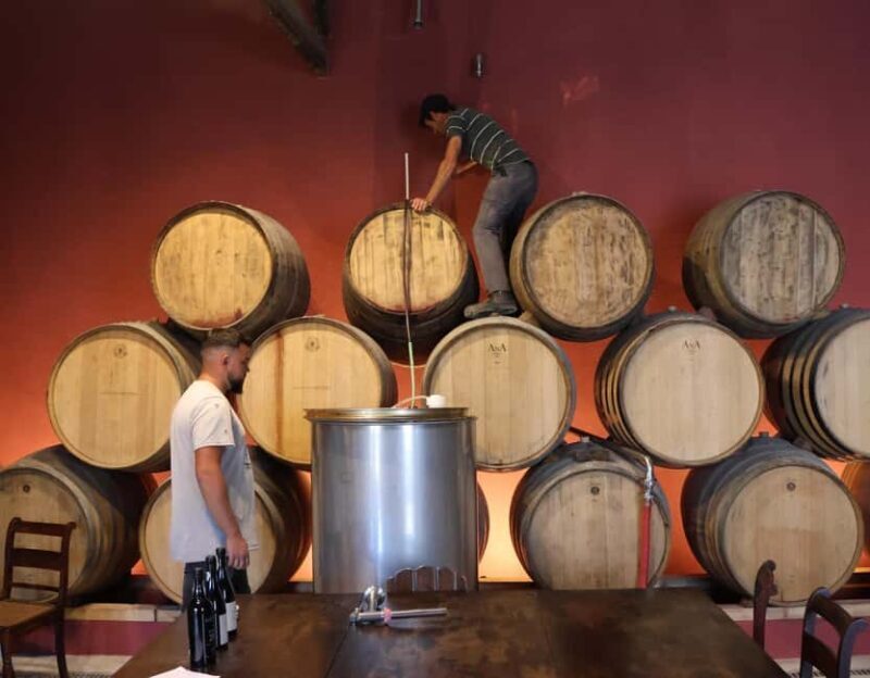 Douro Valley: Half-Day, with 1 winery & 1-h boat tour - Final Thoughts