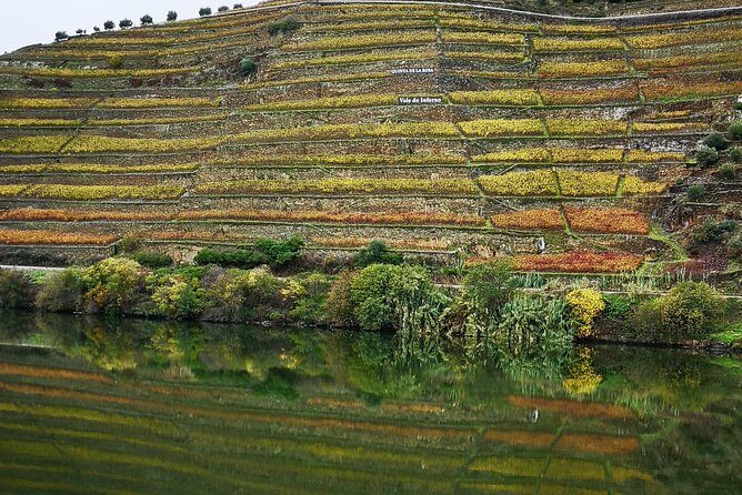 Douro Valley in a Luxury Convertible Mercedes (only private events) - The Wine Tastings