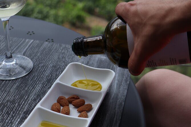 Douro Valley in a Tesla - What Travelers Say