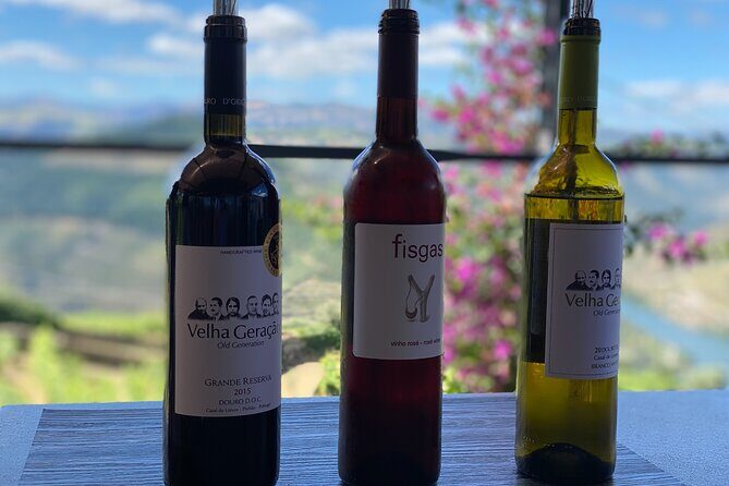 Douro Valley in a Tesla - Who Is This Tour Best For?