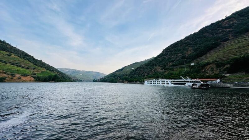 Douro Valley Journey: 4 Cities and Wine Estate All-Included - Key Points