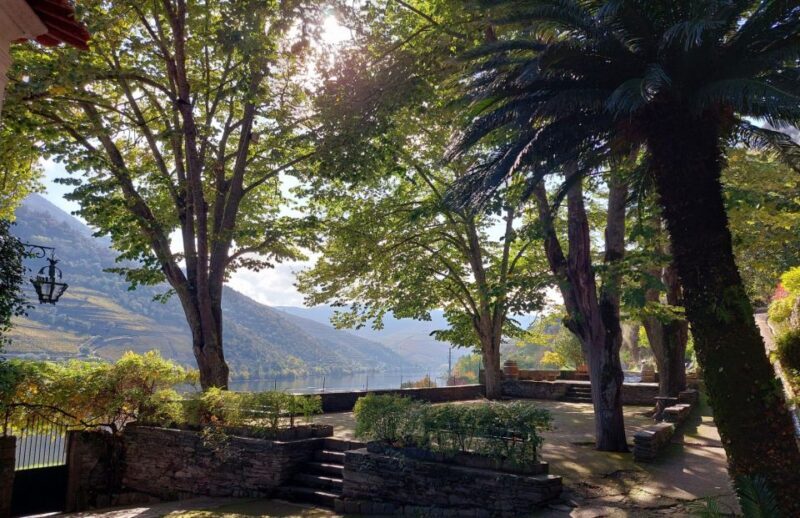 Douro Valley: (Pinhão) Quinta da Foz - Tour&Tasting 5 WINES - Who Should Consider This Tour?