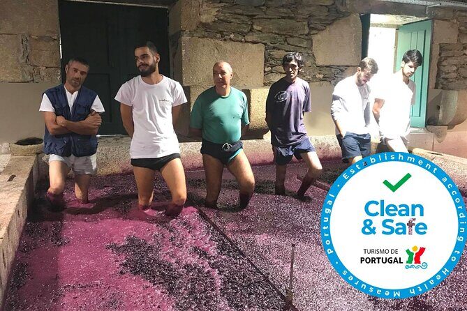 Douro Valley Premium Private - An In-Depth Look at the Douro Valley Premium Private Tour