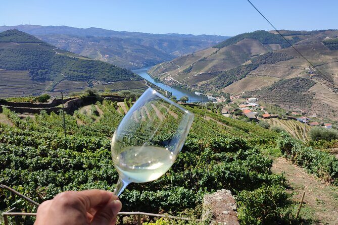 Douro Valley Premium Tours - Private Driver & Guide - FAQs