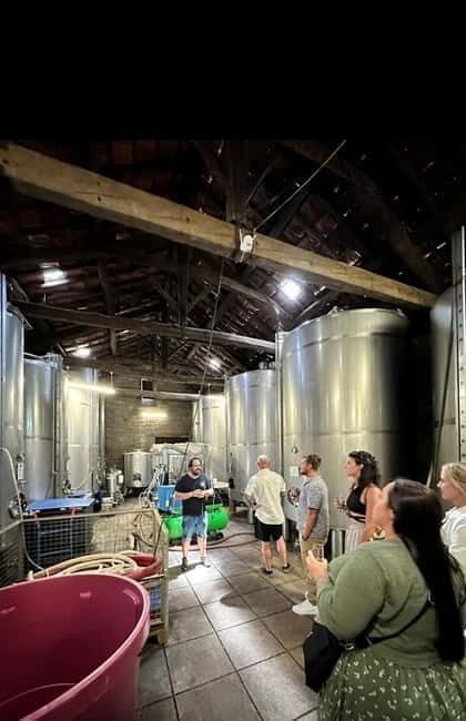 DOURO VALLEY: Premium Wine Tour, Winery Lunch & Private Boat - The Sum Up