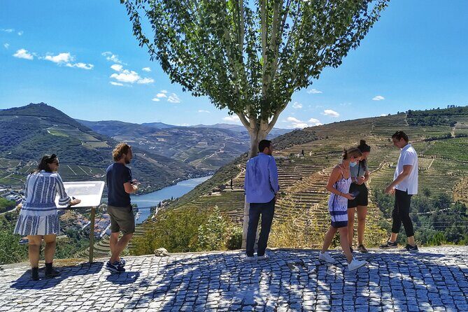 Douro Valley Prime Tour: Wine Tastings, Boat and Lunch from Porto - The Guide Experience